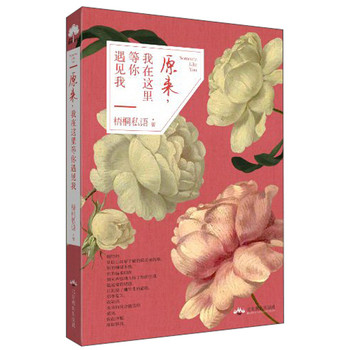原来，我在这里等你遇见我 下载