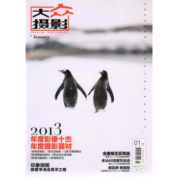大众摄影（2014年1月号） 下载