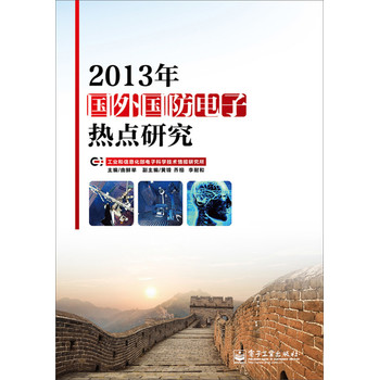 2013年国外国防电子热点研究 下载