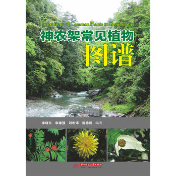 神农架常见植物图谱 下载