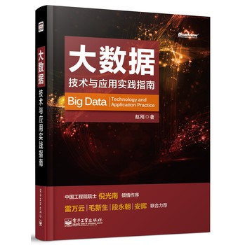 大数据：技术与应用实践指南 下载