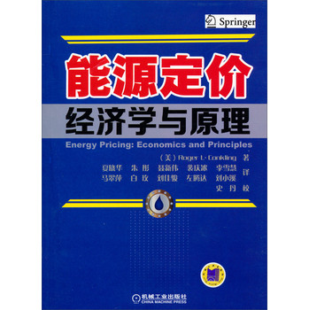 能源定价经济学与原理 下载