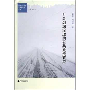 都市社会发展与社会政策丛书：社会组织治理的公共政策研究 下载