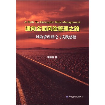 通向全面风险管理之路：风险管理理论与实践感悟 下载
