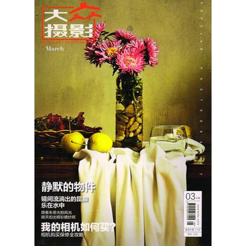 大众摄影（2014年3月号） 下载