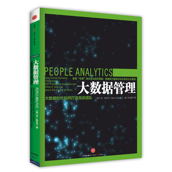 大数据管理：大数据时代如何打造高效团队 下载