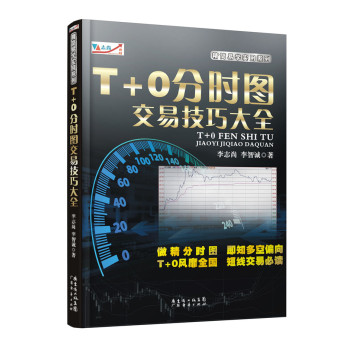 T+0分时图交易技巧大全 下载