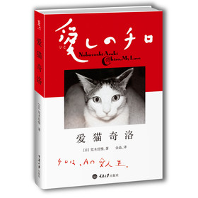 爱猫奇洛 下载