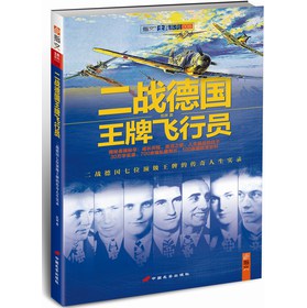 二战德国王牌飞行员 下载
