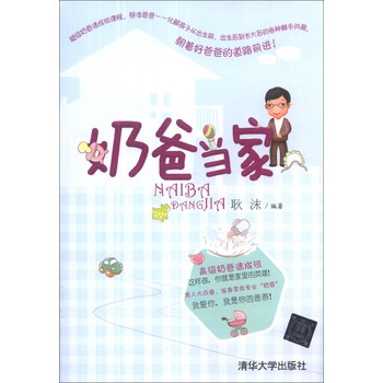 奶爸当家 下载