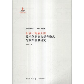 大国经济丛书：后发不均质大国技术创新能力提升模式与政策机制研究 下载