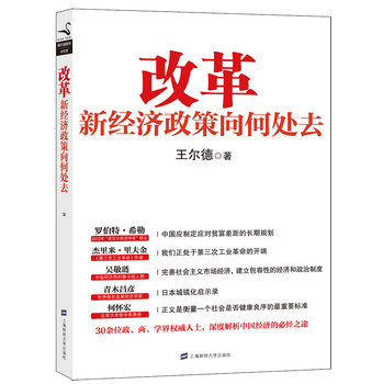 改革：新经济政策向何处去 下载