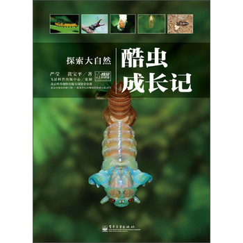 探索大自然：酷虫成长记 下载