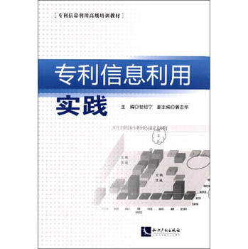 专利信息利用实践/专利信息利用高级培训教材 下载