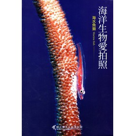 海洋生物愛拍照：海水魚類 下载