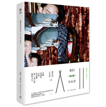 我们从未不认识：林宥嘉音乐小说概念书 下载