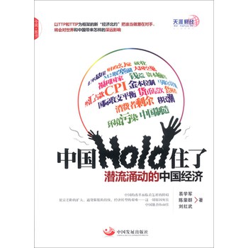 中国Hold住了：潜流涌动的中国经济 下载