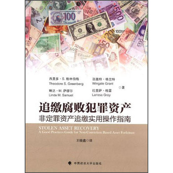 追缴腐败犯罪资产：非定罪资产追缴实用操作指南 下载