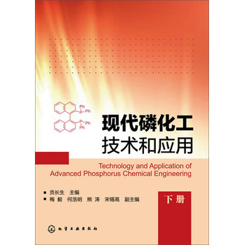 现代磷化工技术和应用（下册） 下载