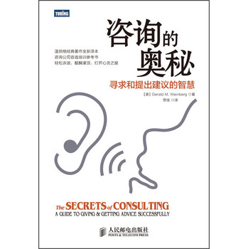 咨询的奥秘：寻求和提出建议的智慧 下载
