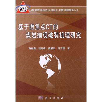 煤炭深部开采中的岩石力学问题及动力灾害防治基础研究学术丛书：基于微焦点CT的煤岩细观破裂机理研究 下载