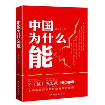 中国为什么能 下载