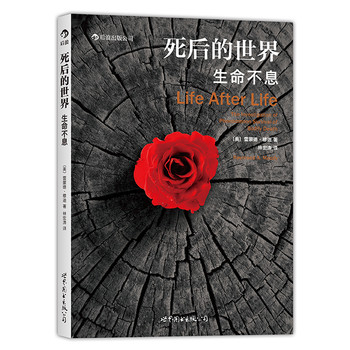 死后的世界：生命不息 下载