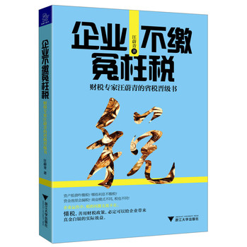 企业不缴冤枉税：财税专家汪蔚青的省税晋级书 下载