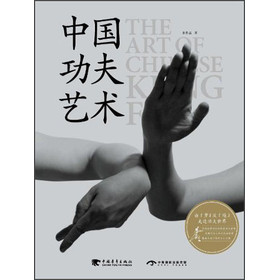 中国功夫艺术 下载