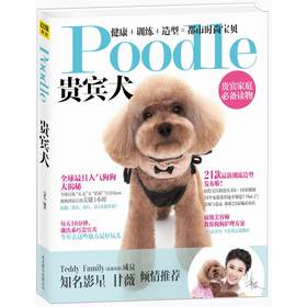 Poodle 贵宾犬 下载
