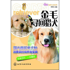 宠尚生活系列：金毛寻回猎犬 下载