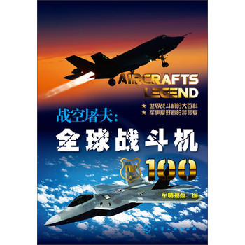 战空屠夫：全球战斗机100 下载