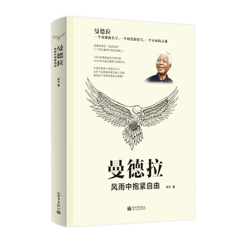 曼德拉：风雨中抱紧自由 下载