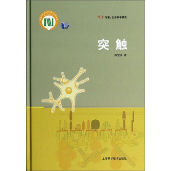 突触 下载