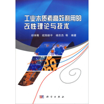 工业木质素高效利用的改性理论与技术 下载