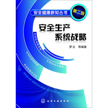 安全健康新知丛书：安全生产系统战略（第2版） 下载