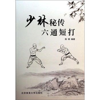 少林秘传六通短打 下载