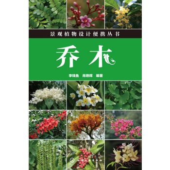 乔木 下载
