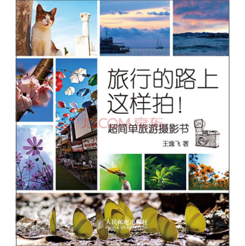 旅行的路上这样拍！——超简单旅游摄影书 下载