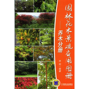 园林花木景观应用图册·乔木分册 下载