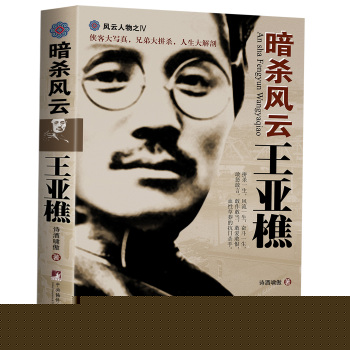 暗杀风云王亚樵 下载