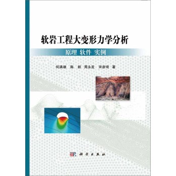 软岩大变形力学分析：原理、软件、实例 下载