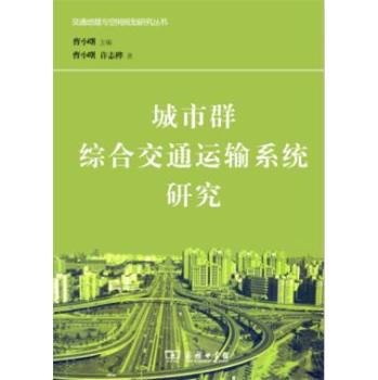 城市群综合交通运输系统研究 下载