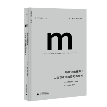 理想国译丛003：断臂上的花朵：人生与法律的奇幻炼金术 下载