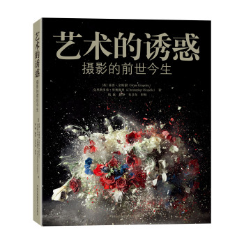 艺术的诱惑：摄影的前世今生 下载