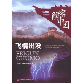 解密中国：飞棍出没 下载