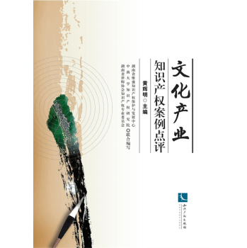 文化产业知识产权案例点评 下载
