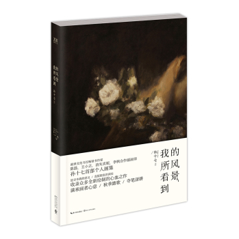 我所看到的风景 下载