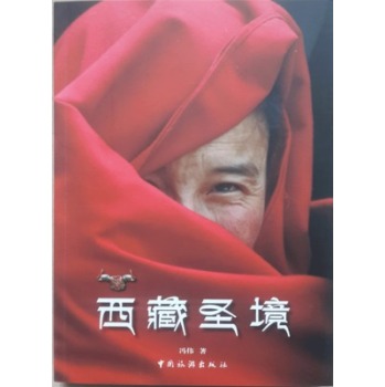 西藏圣境 下载