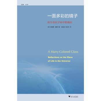 一面多彩的镜子 下载
